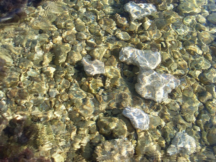 водица морская