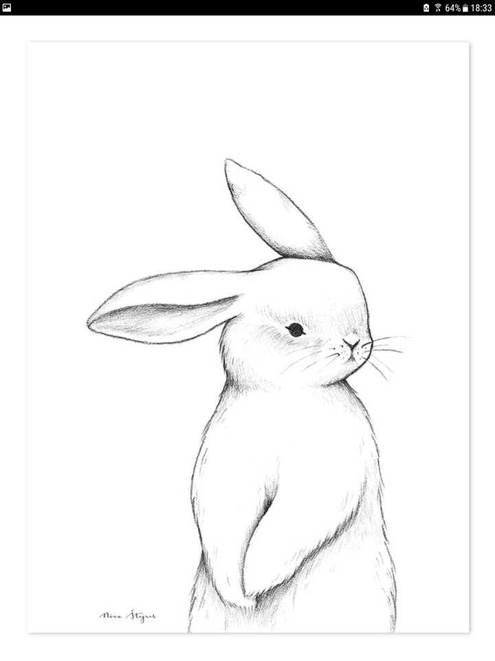 bunny