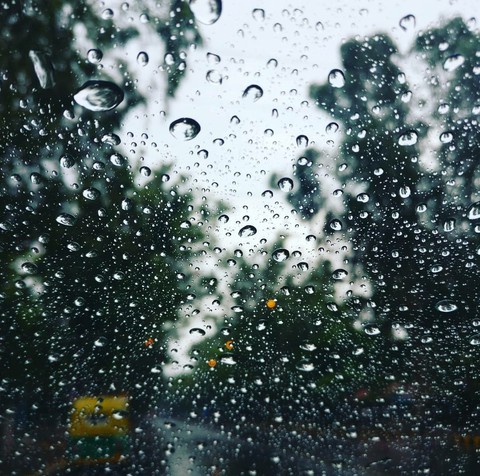 Delhi Rains~