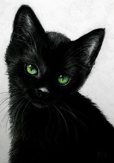 кот