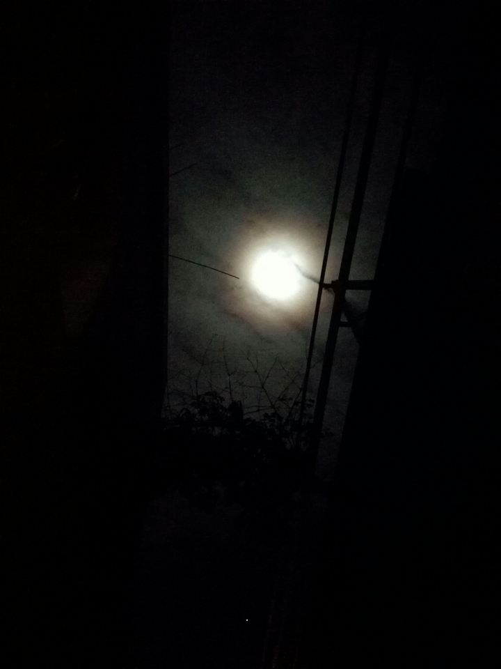 Noche