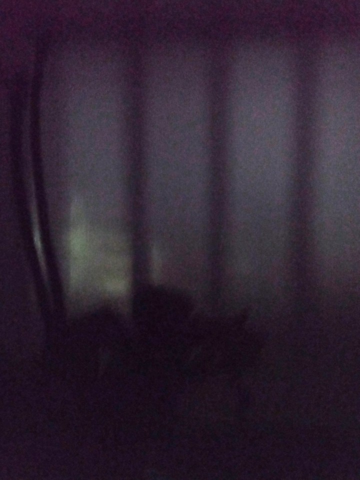 꽃