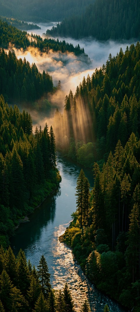 river, highland wallpapers