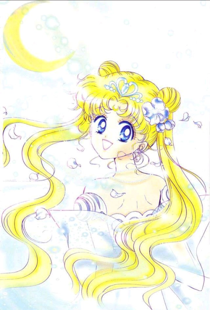 Pretty Guardian Sailor Moon