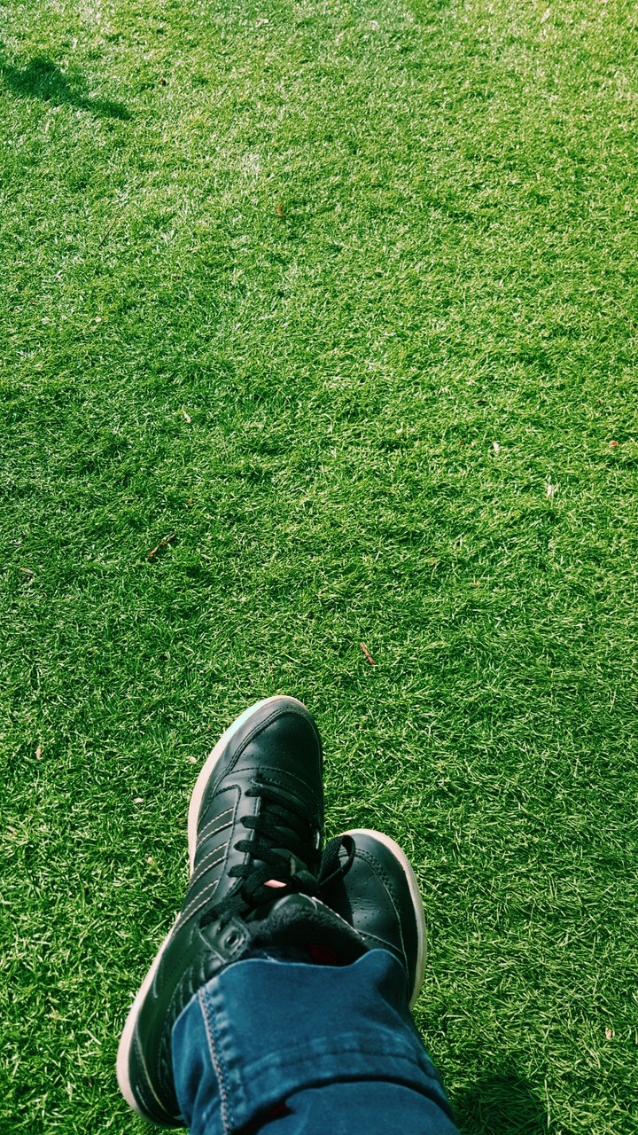 field