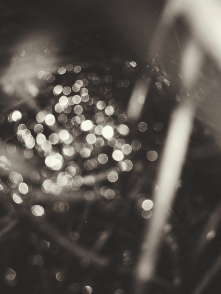 sprinkle