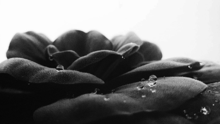 droplets
