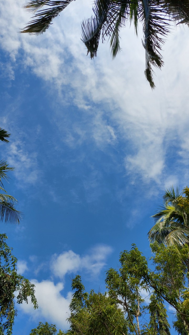 why the sky is so high