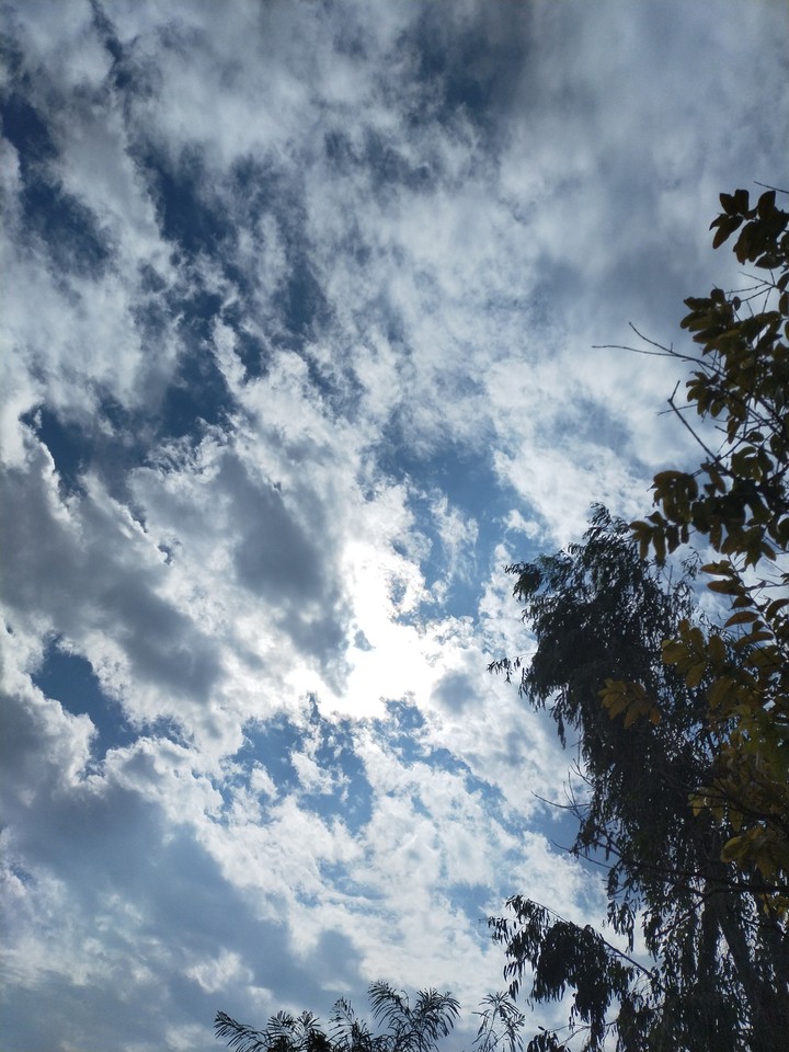 #trees #clouds #sky #day