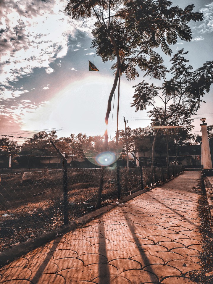 Walking track around the lake