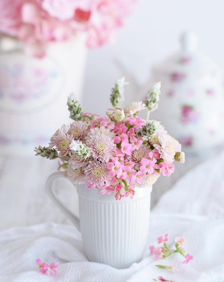 soft beauty