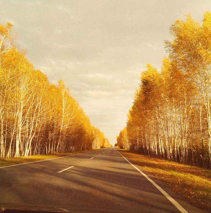 Золотая осень