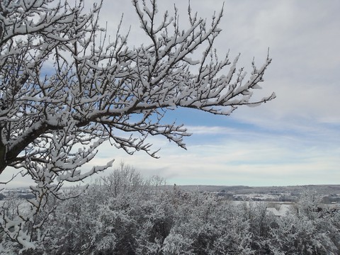 Neige