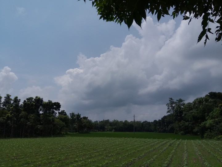 cloud