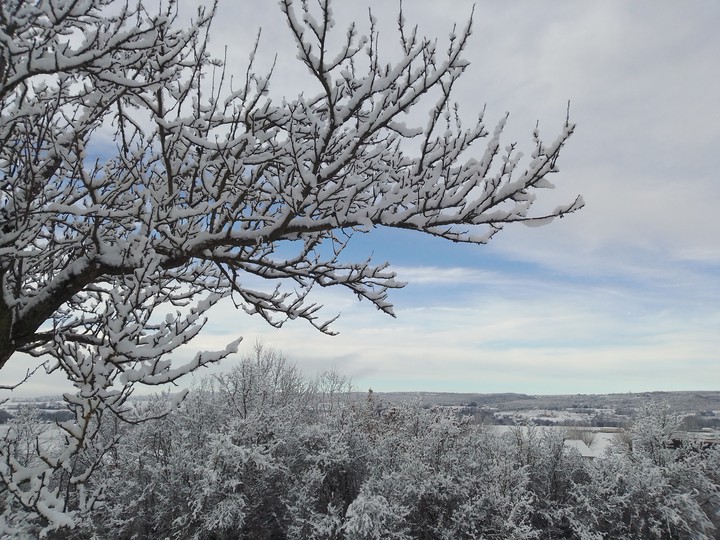 Neige