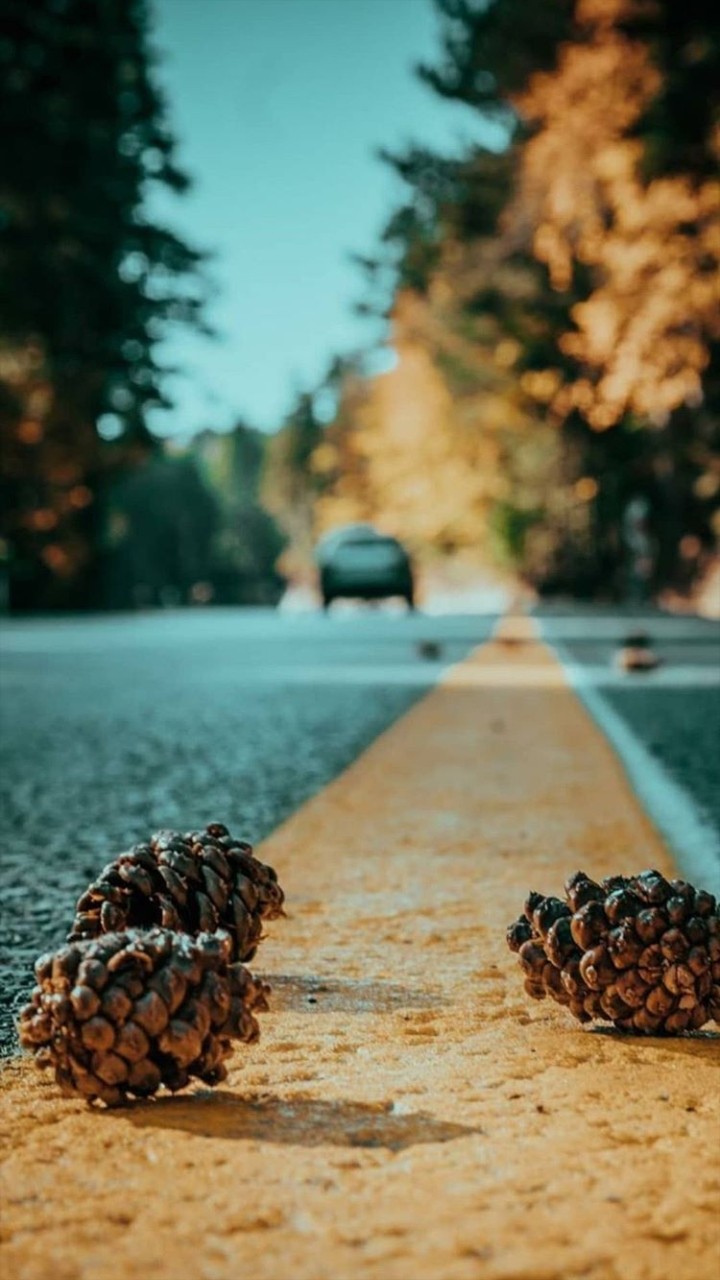 road