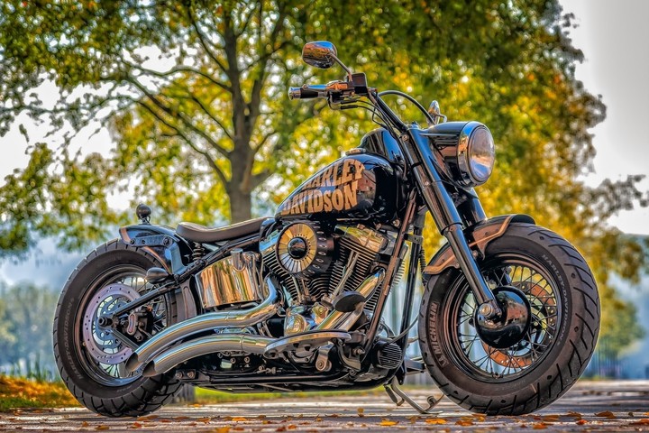 Harley Davidson...