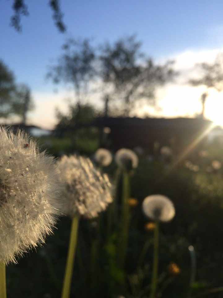 nature