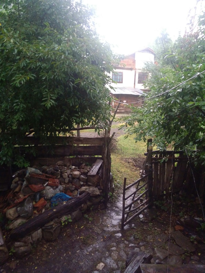 Yağmur sonrası toprak kokusu