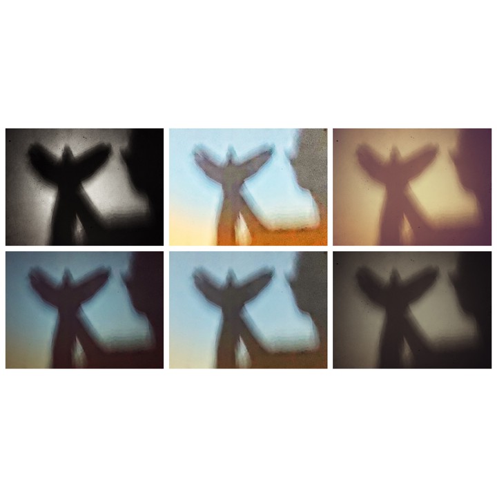 fly, like a butterfly ?