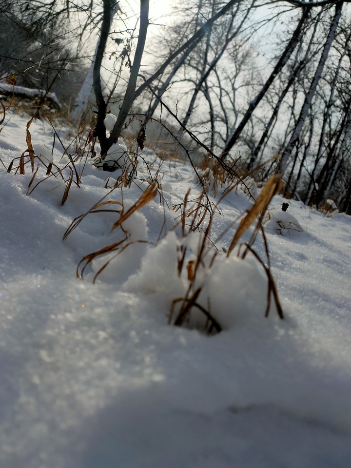 зима, снег, тишина, winter