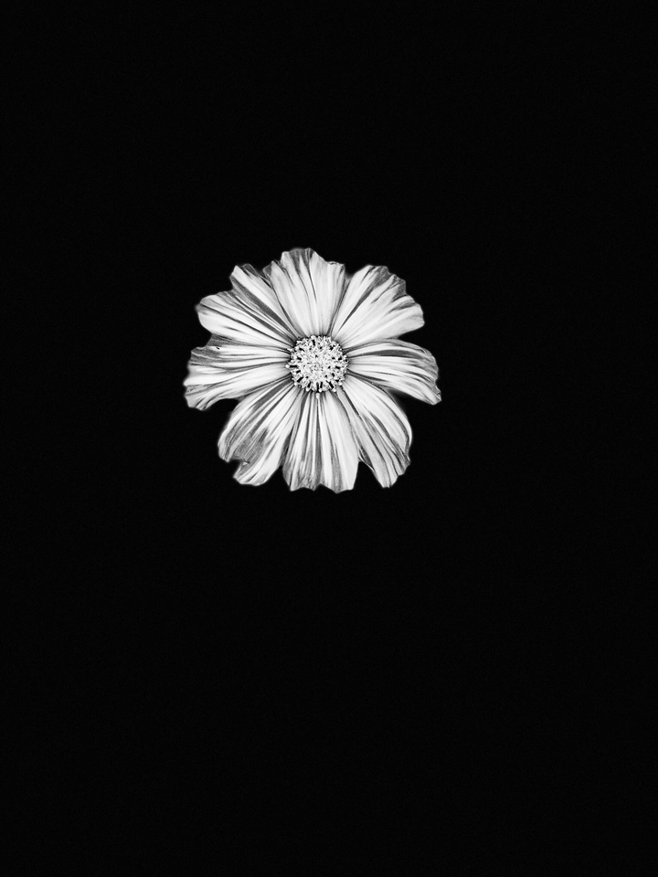 Black meets White