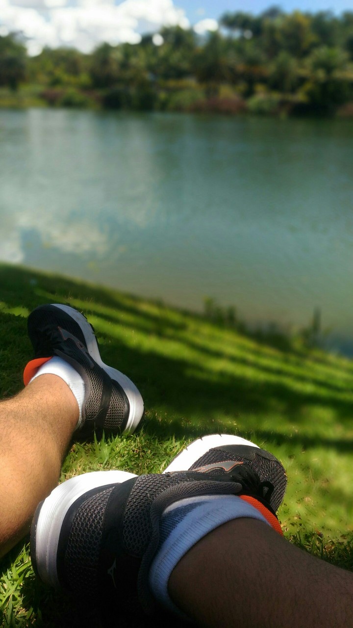 Inhotim
