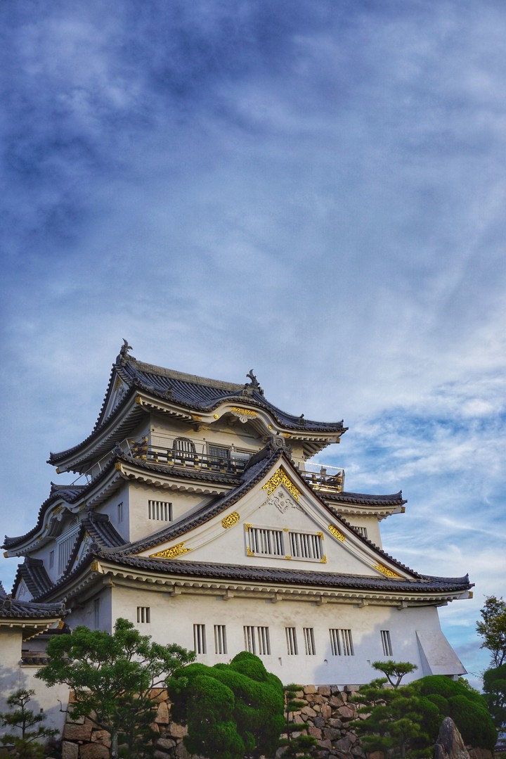 Kishiwada castle