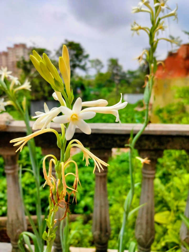 nature has awesome gifts to present