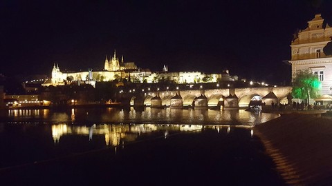 Night Lights