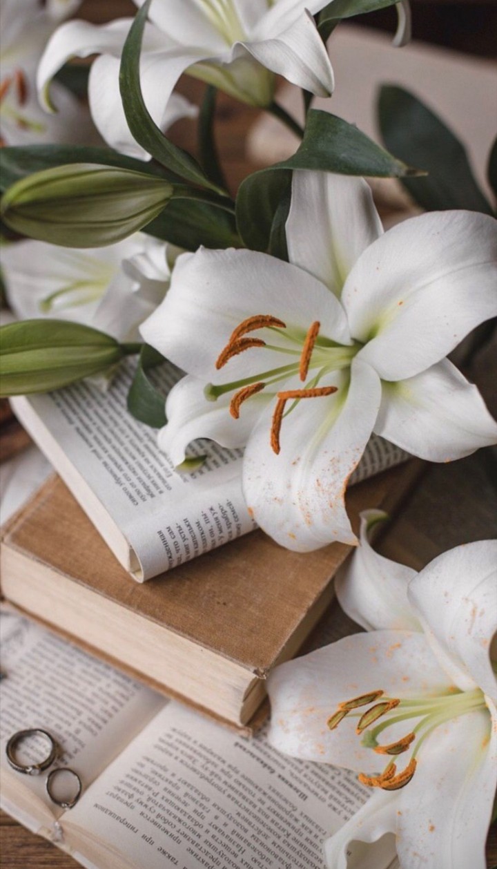Vintage and the flowers