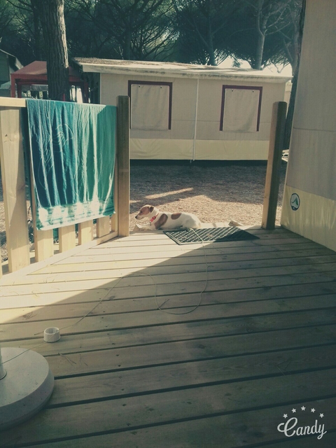 summer