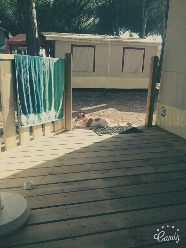 summer