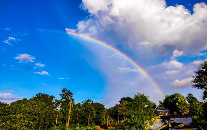 Rainbow