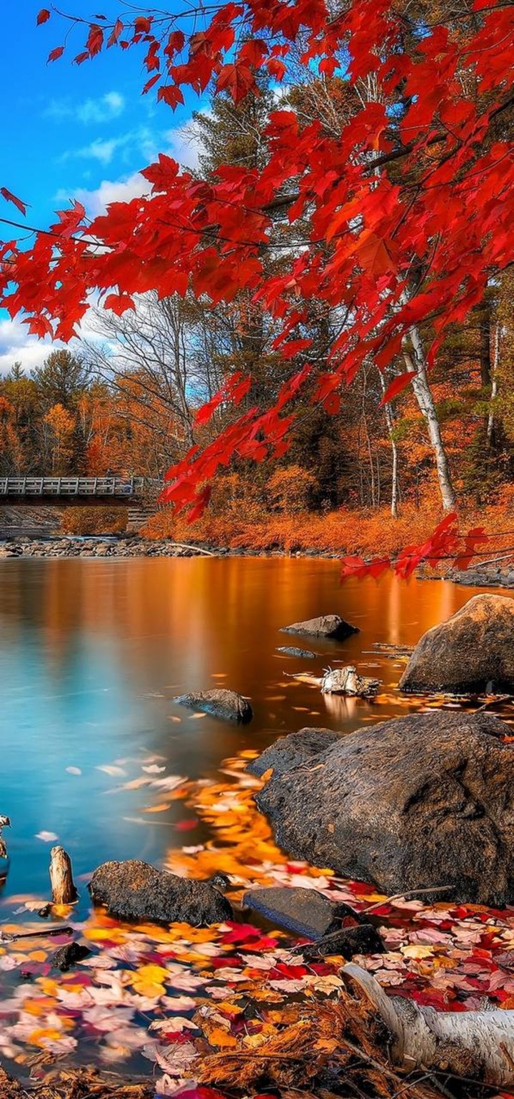 fall