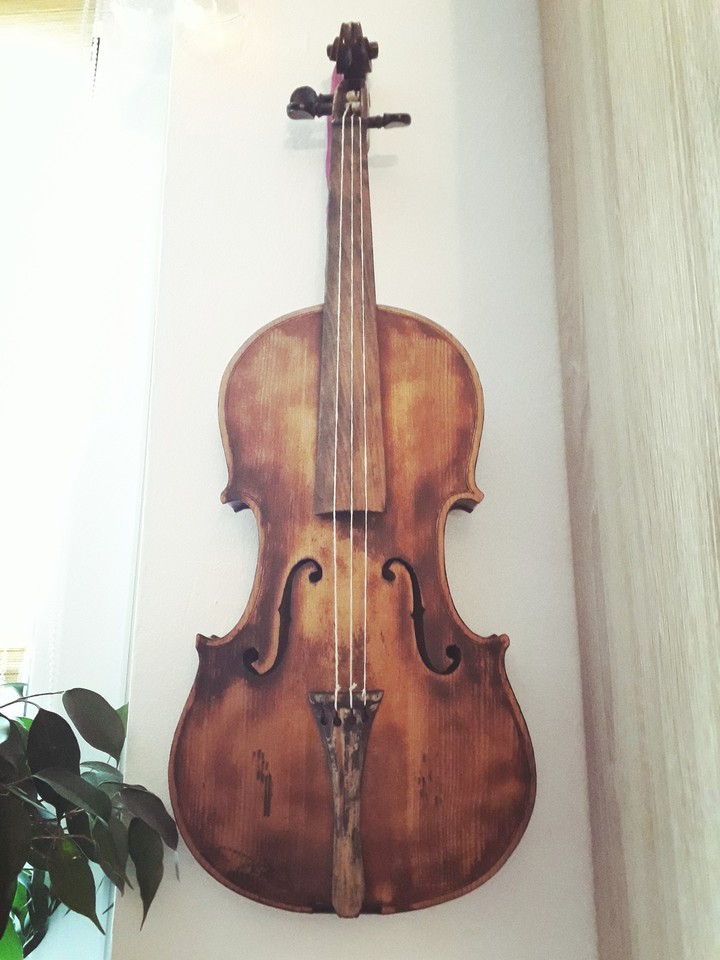 violin