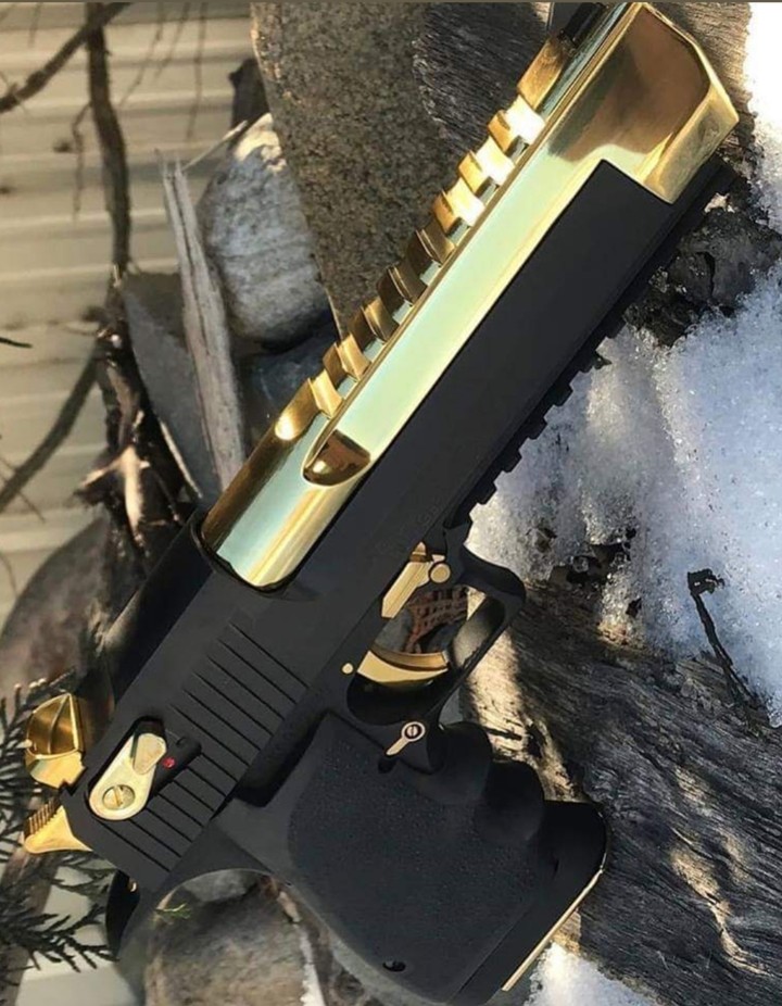gun