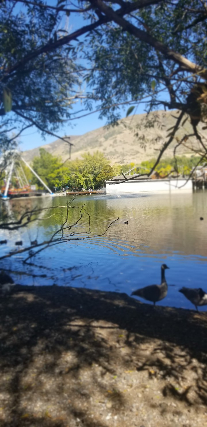 Lagoon Amusement Park