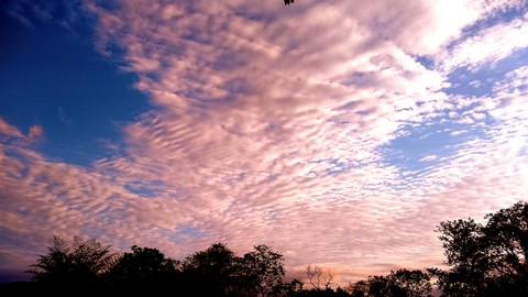 cielo rosa