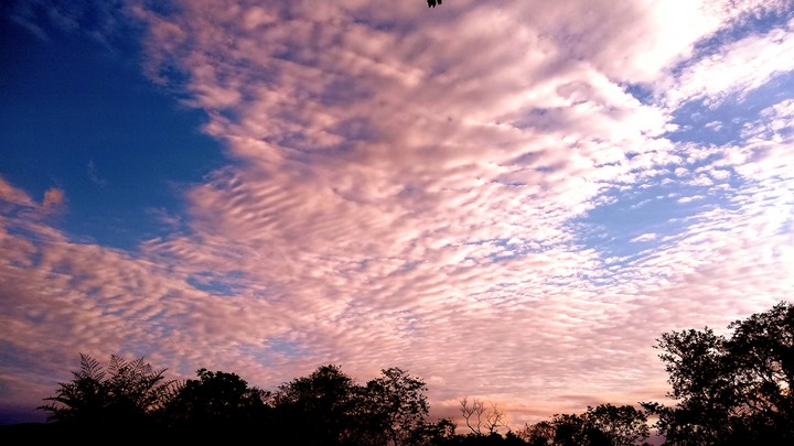 cielo rosa