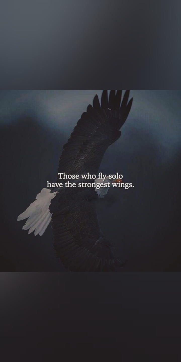 qoutes