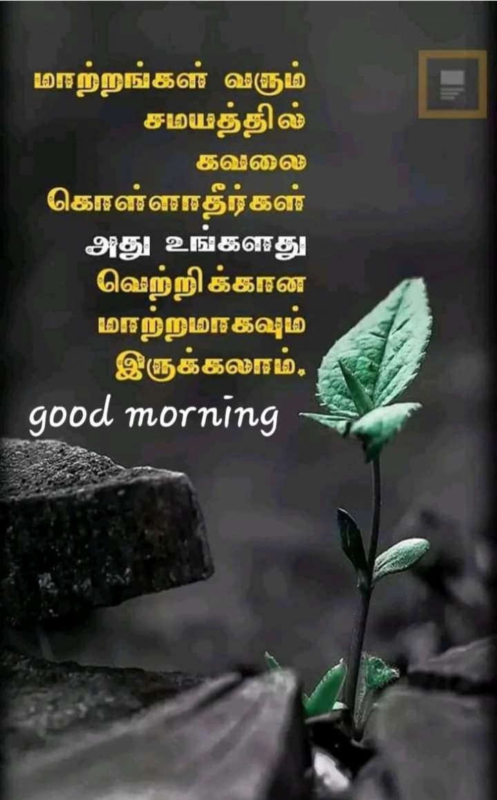 good morning
