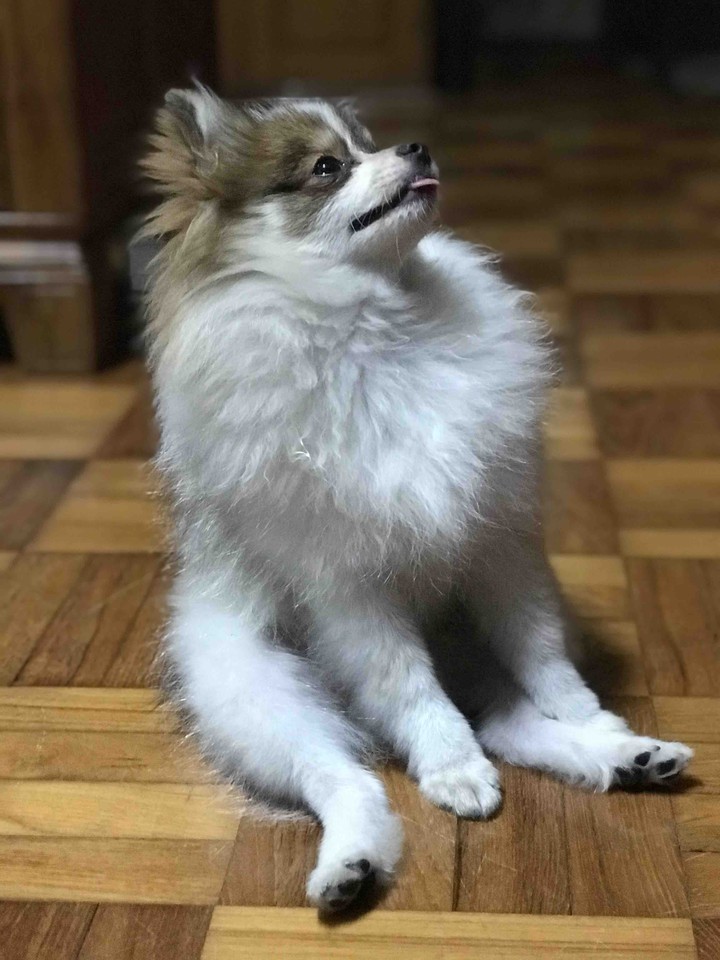 My Cute Baby