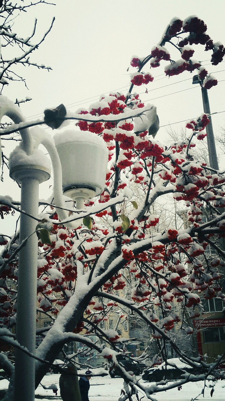 Wonderful winter