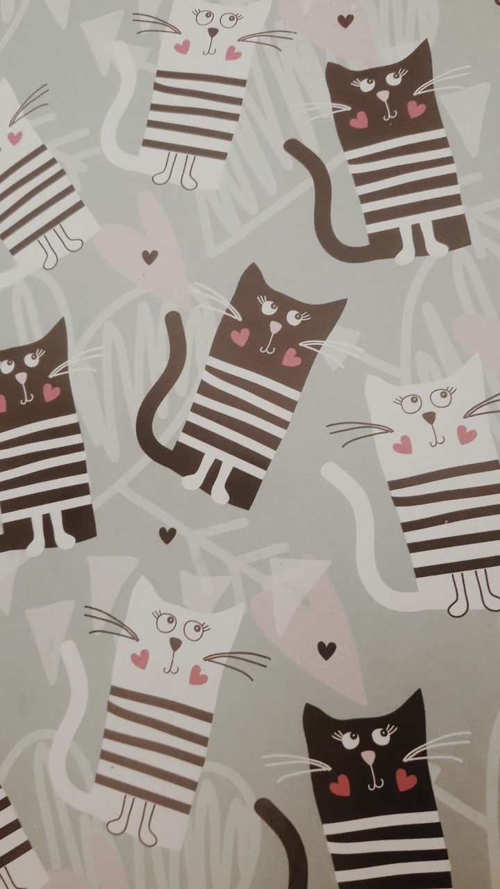 Котики