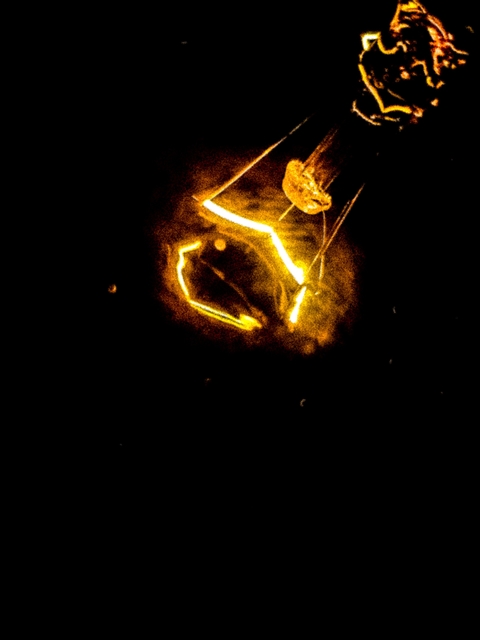 The Dark Light Bulb