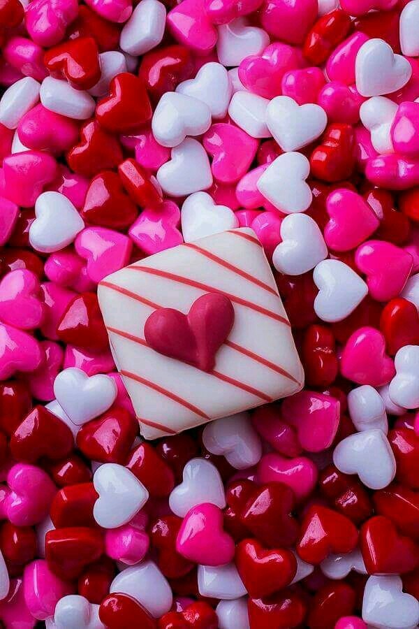 hearts❤❤❤