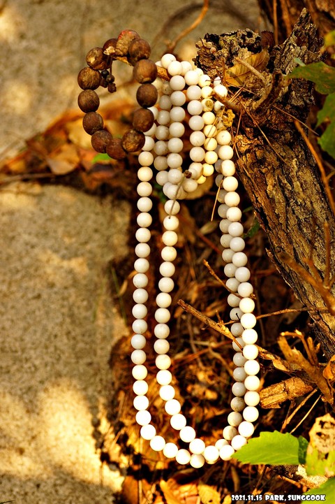 twig, jewellery Hintergrundbilder