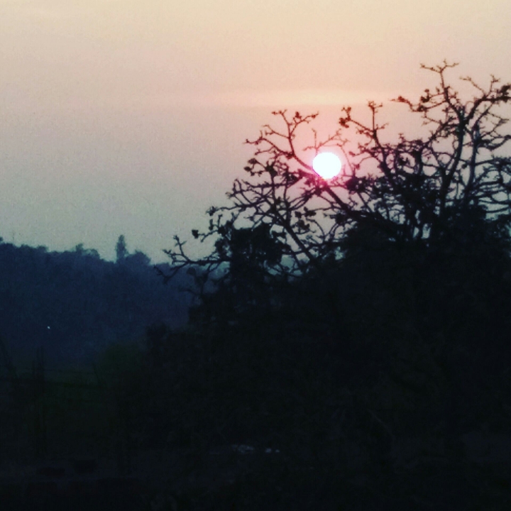 evening