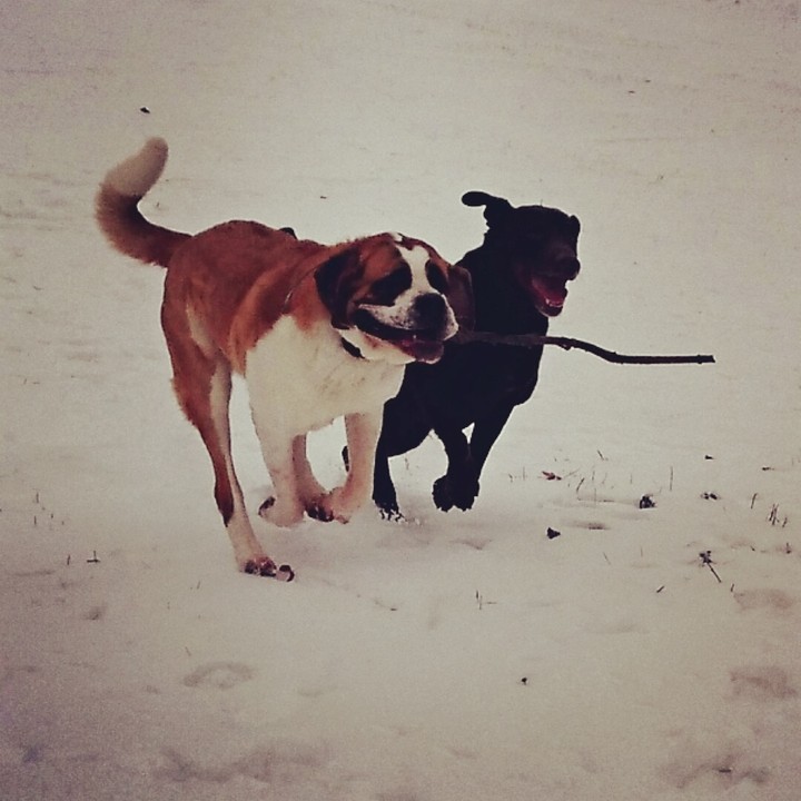 Spaß im Schnee